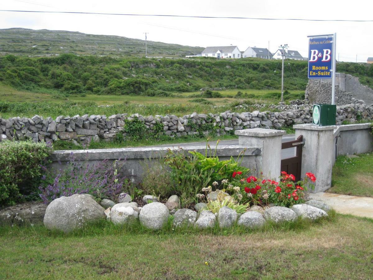 Radharc Na Ceibhe B&B Kilronan  Exterior foto
